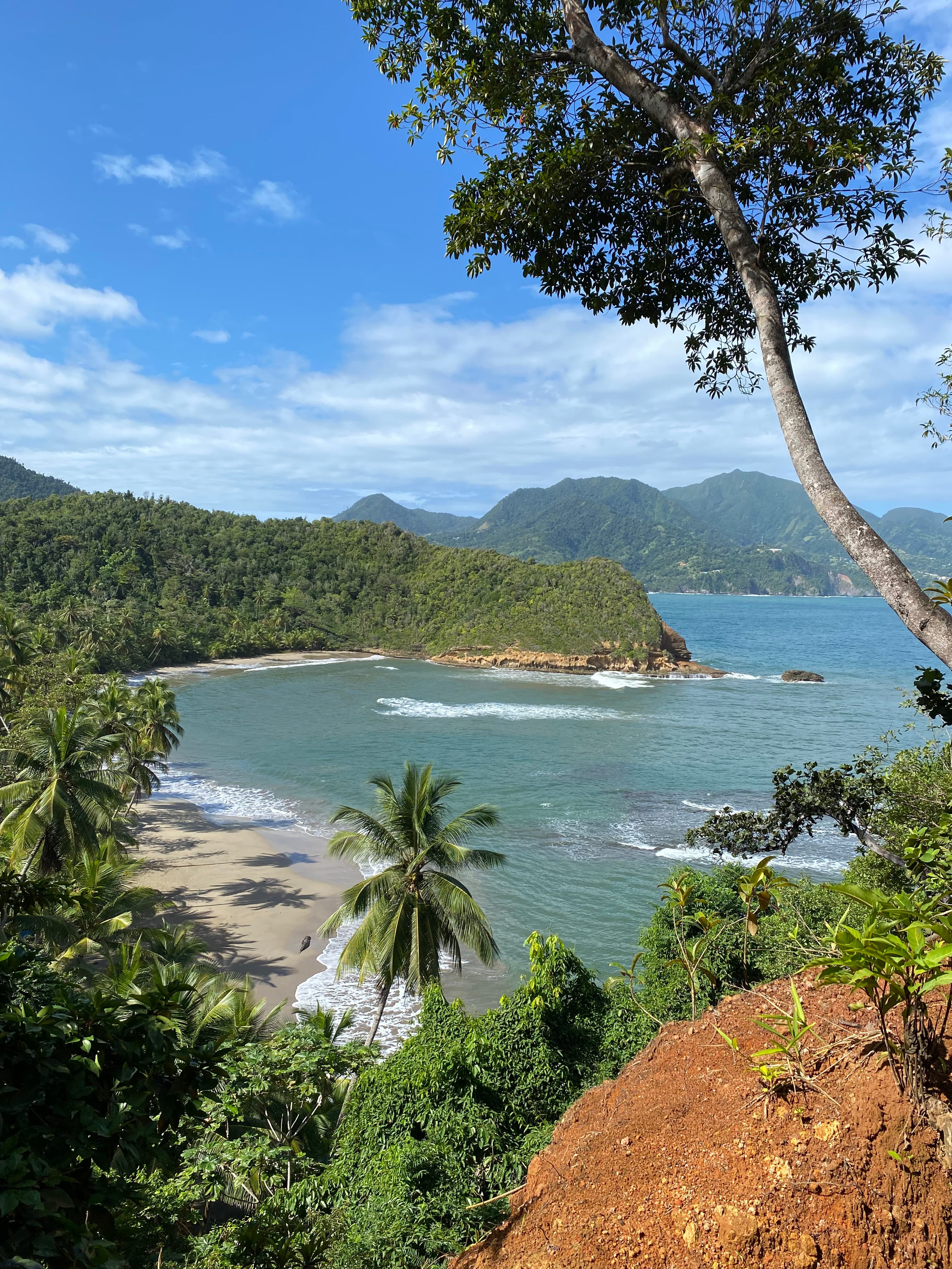 Testimonial from Carey S.