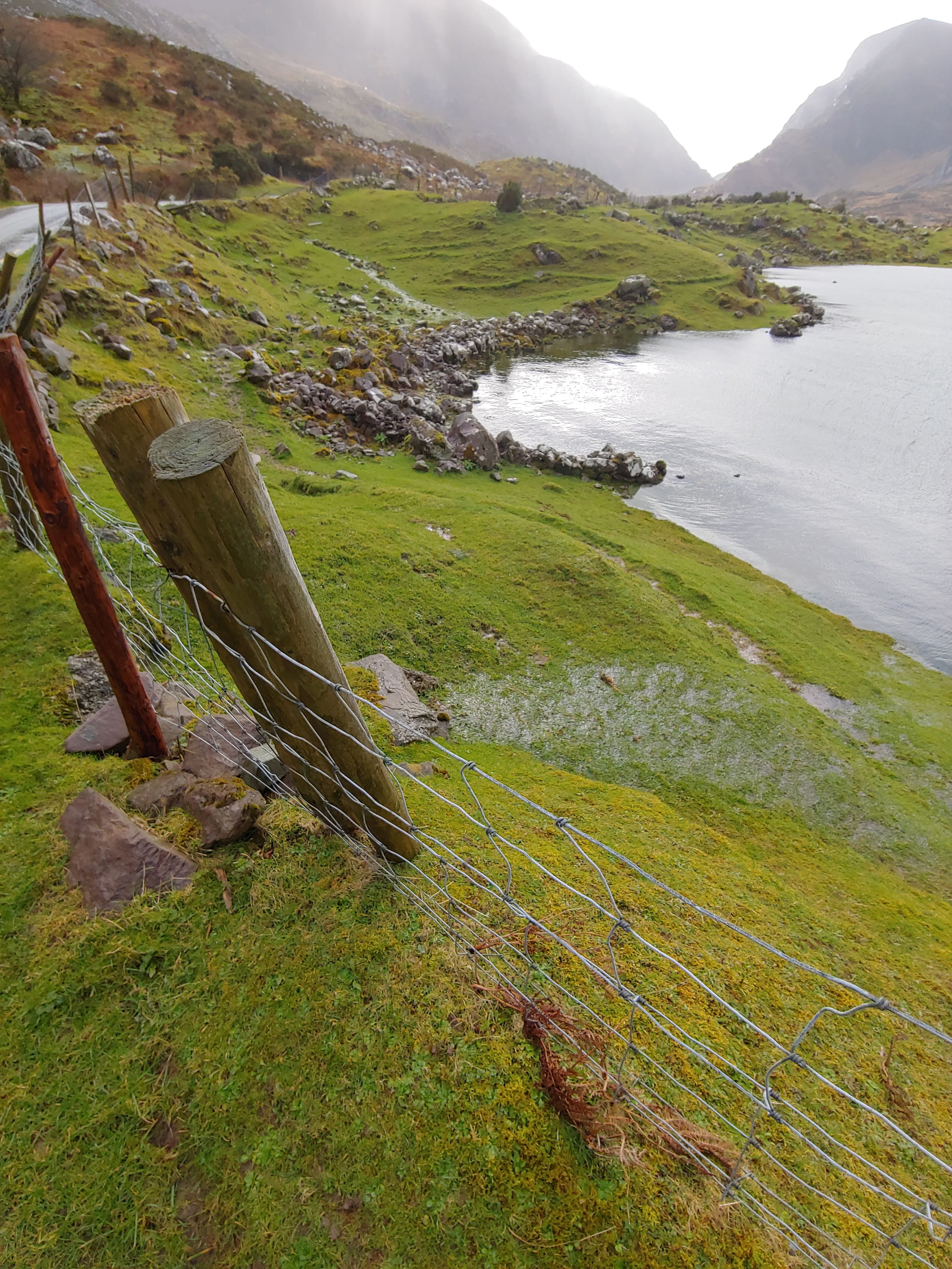 Testimonial from Danielle G.