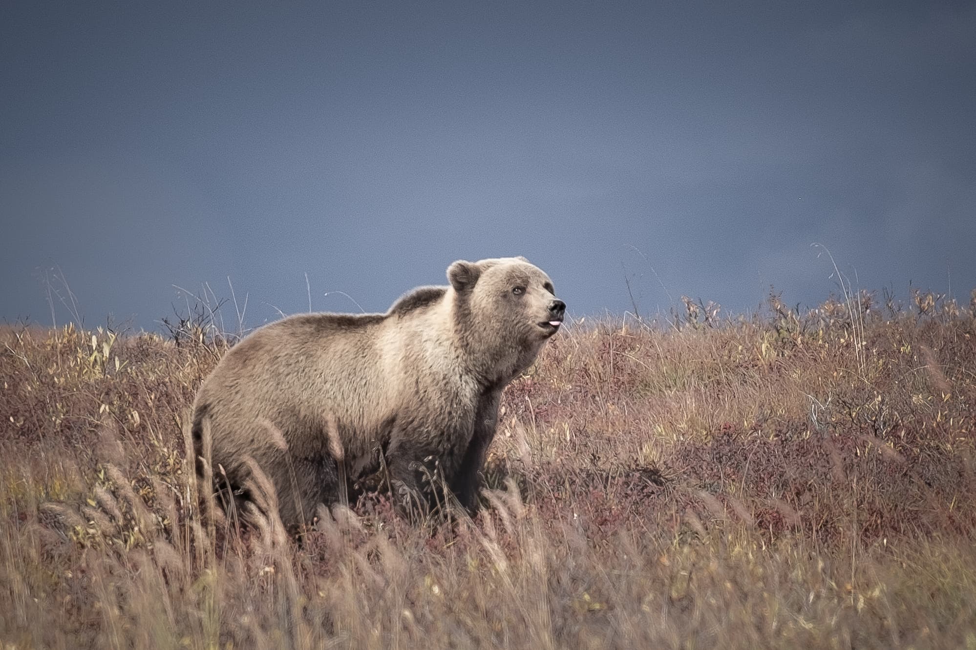 Testimonial from Betty W.