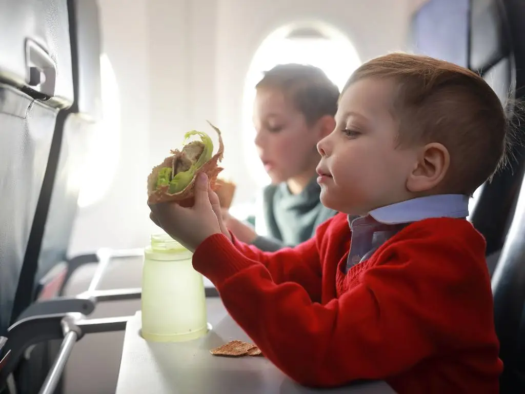 Can You Bring Food or Snacks On A Plane? Guide & Rules Explained