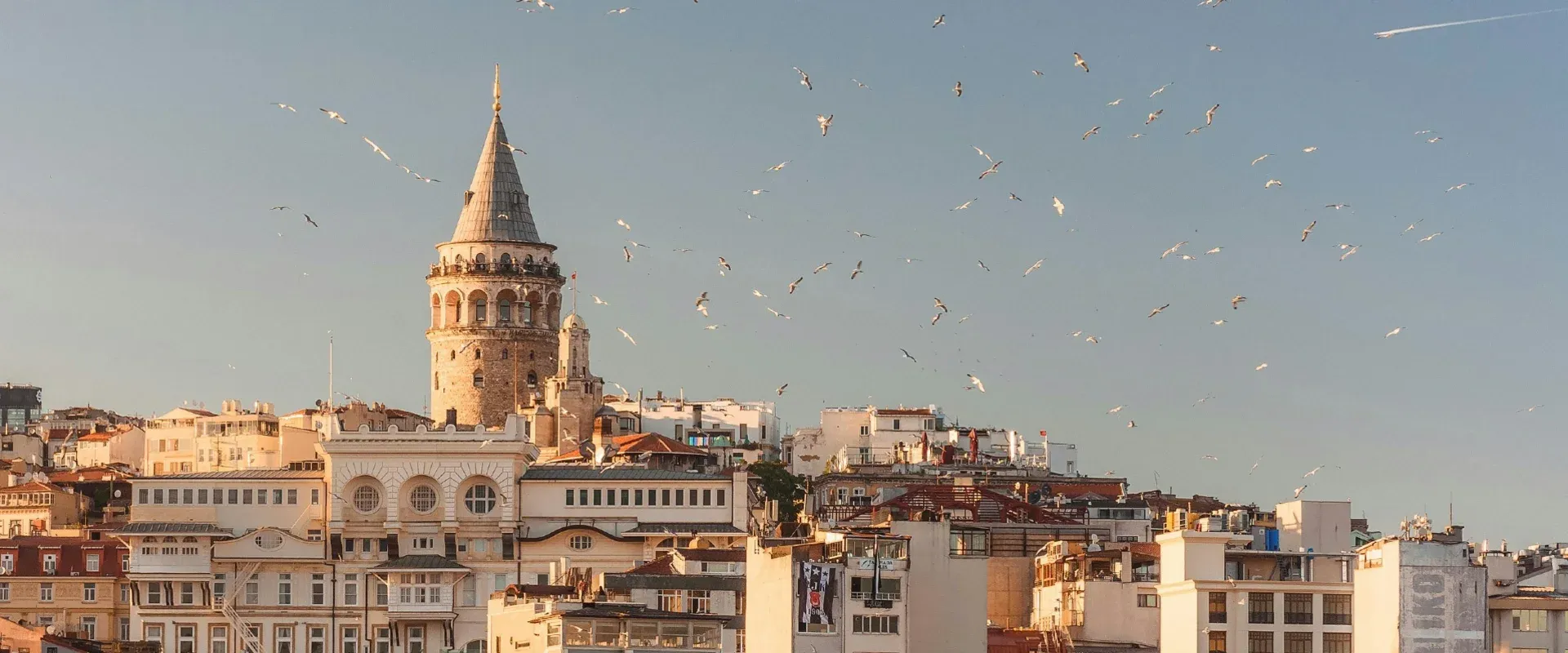 Birds fly over a pointed building in Istanbul, Turkey