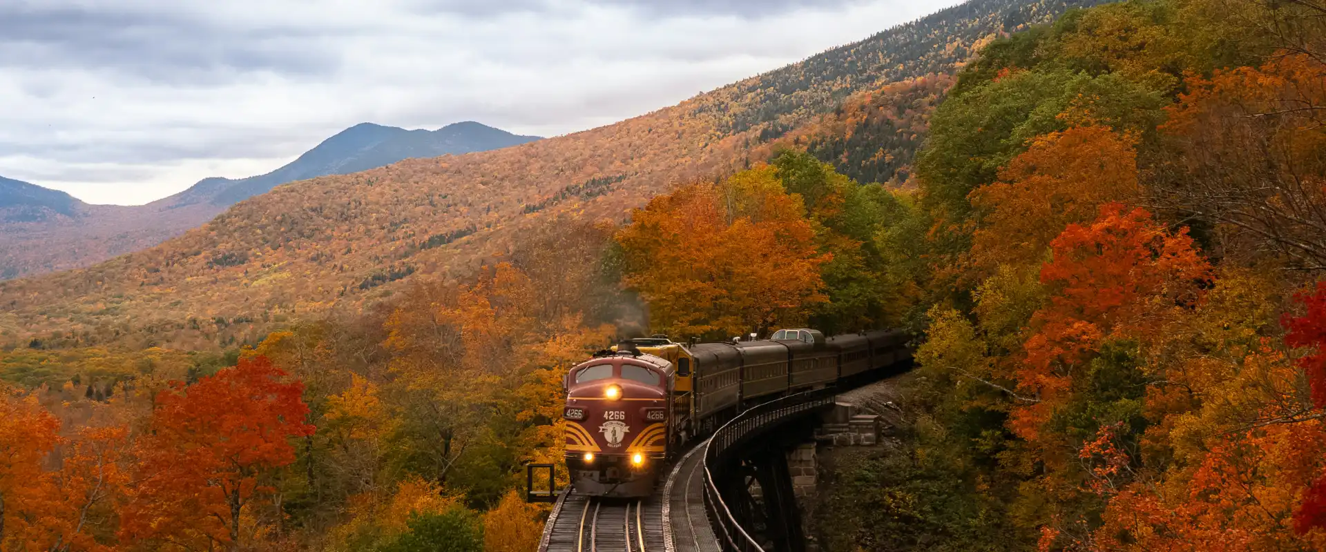 Train travels through mountains covered in fall foliage