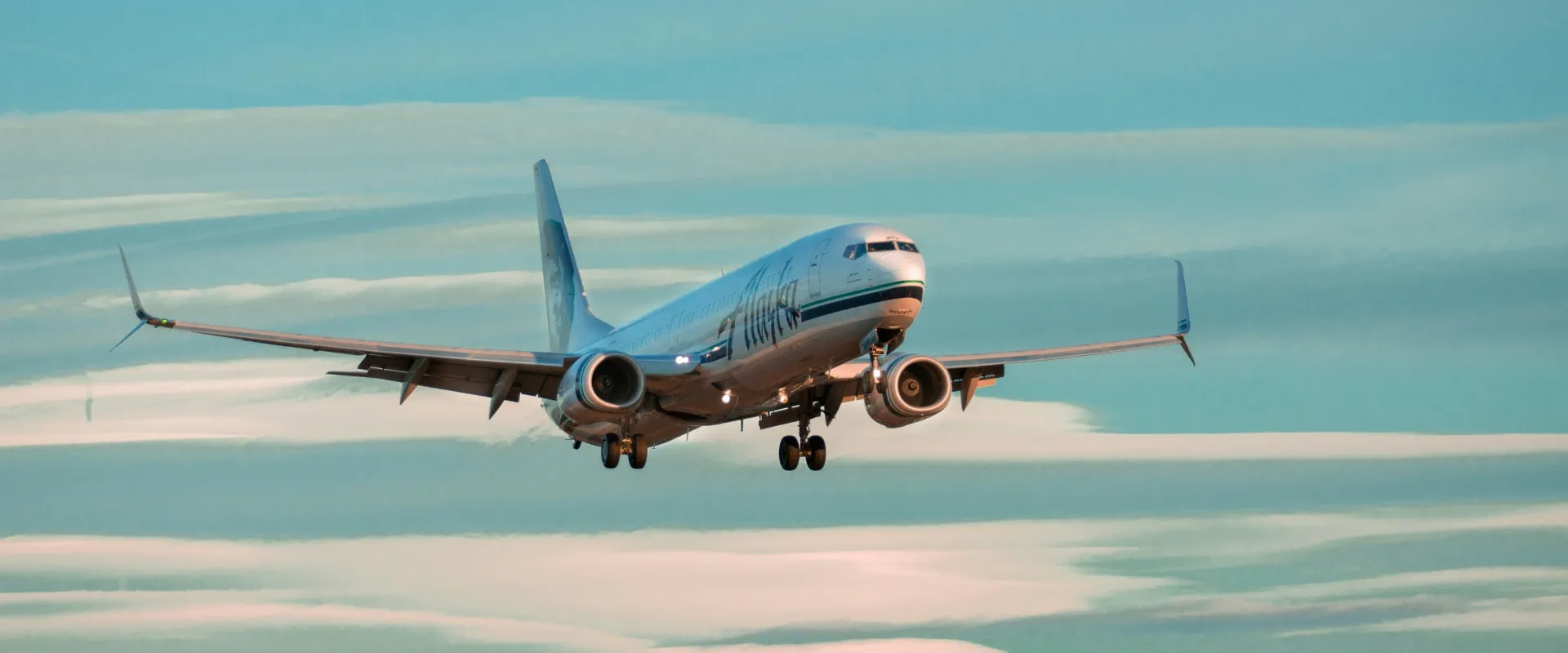 How to Cancel a Flight (and How Much It Really Costs)